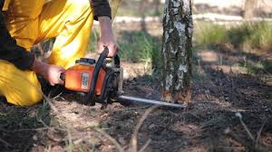 Best Hazardous Tree Removal  in Gettysburg, PA